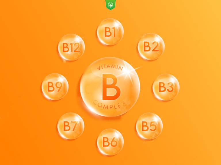 Các loại Vitamin nhóm B
